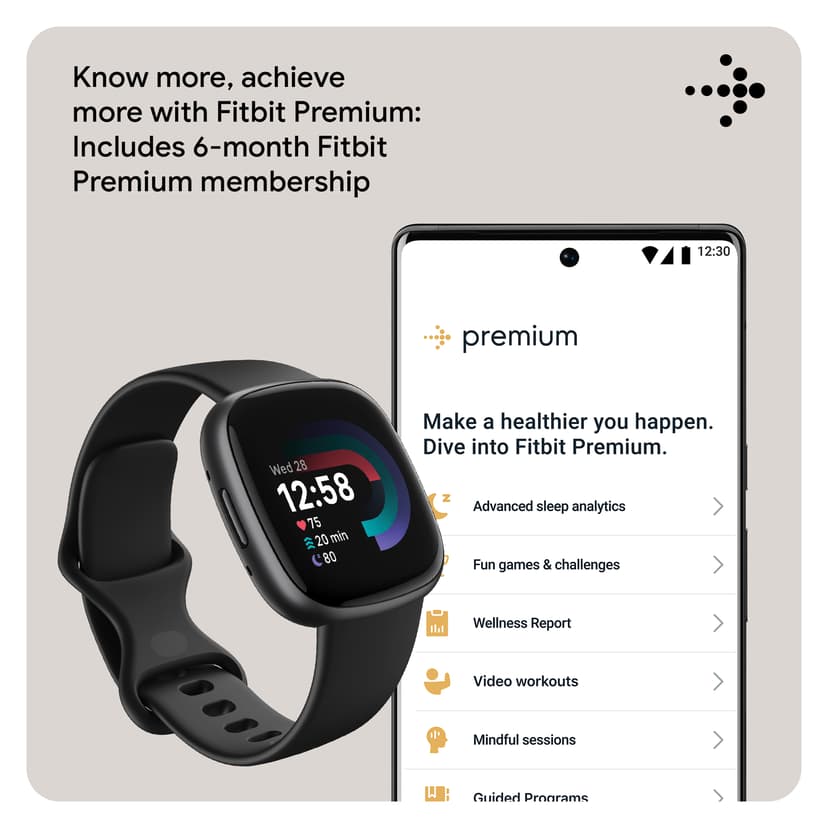 Fitbit Versa 4 Black/Graphite