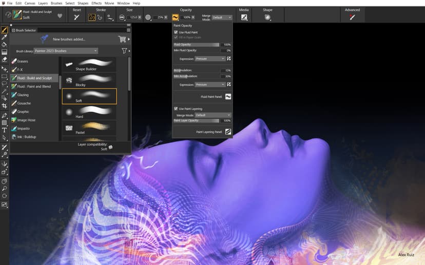 Corel Painter 2023 Win/mac Eng Box