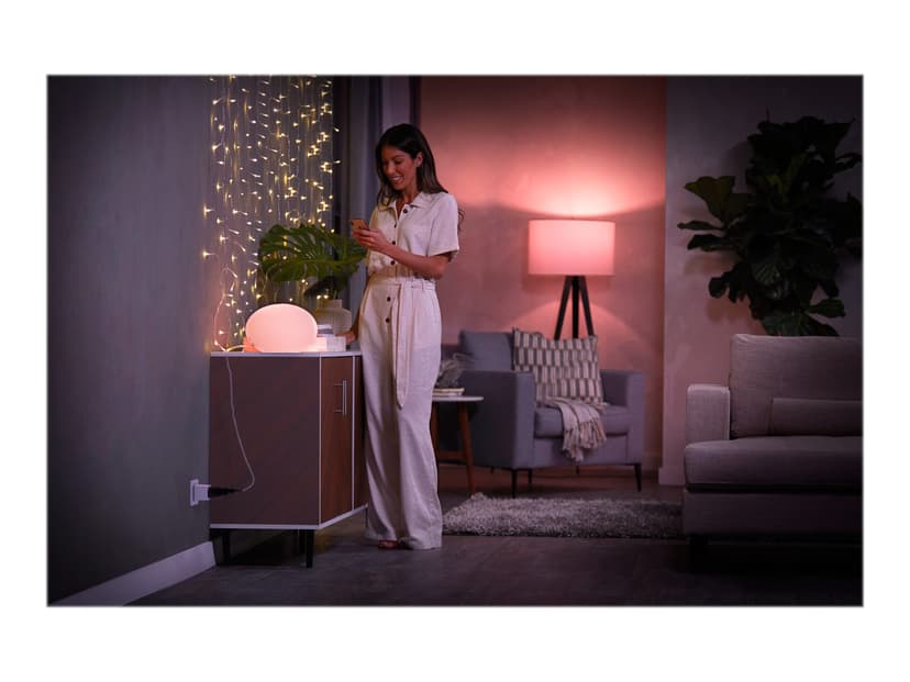 Philips Hue Smart Plug