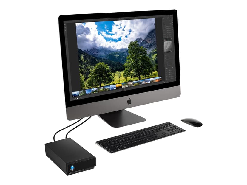 LaCie 1BIG DOCK 16TB Svart