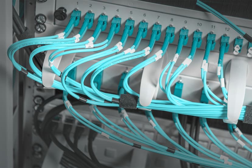 Digitus DN-97601-2 kaapelinjärjestäjä Teline Kaapelinpidike Harmaa 1 kpl