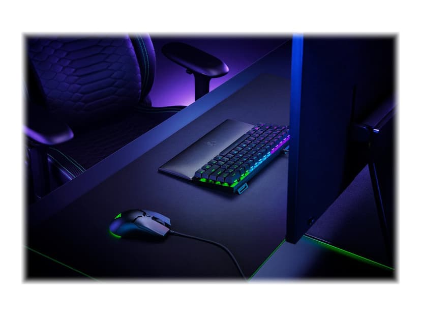 Razer Ergonomic Mini