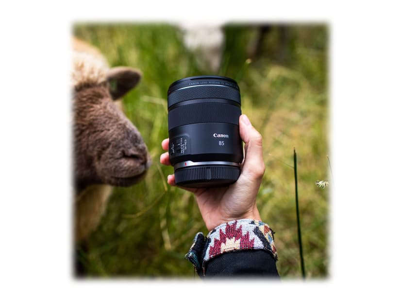 Canon RF 85mm F2 MACRO IS STM Canon RF