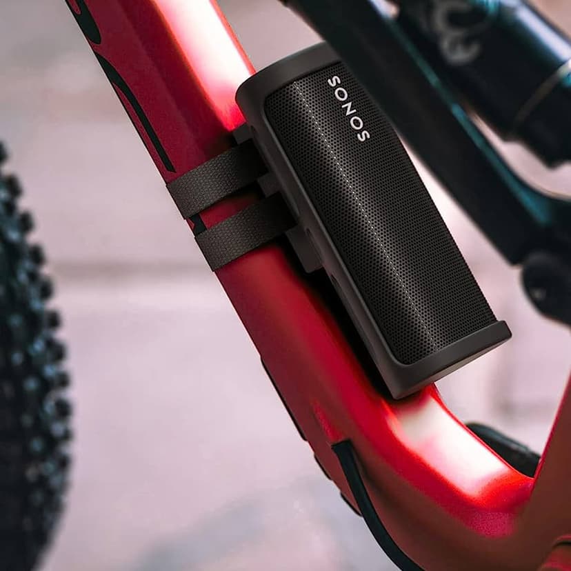 Flexson Skyddsfodral till Sonos ROAM