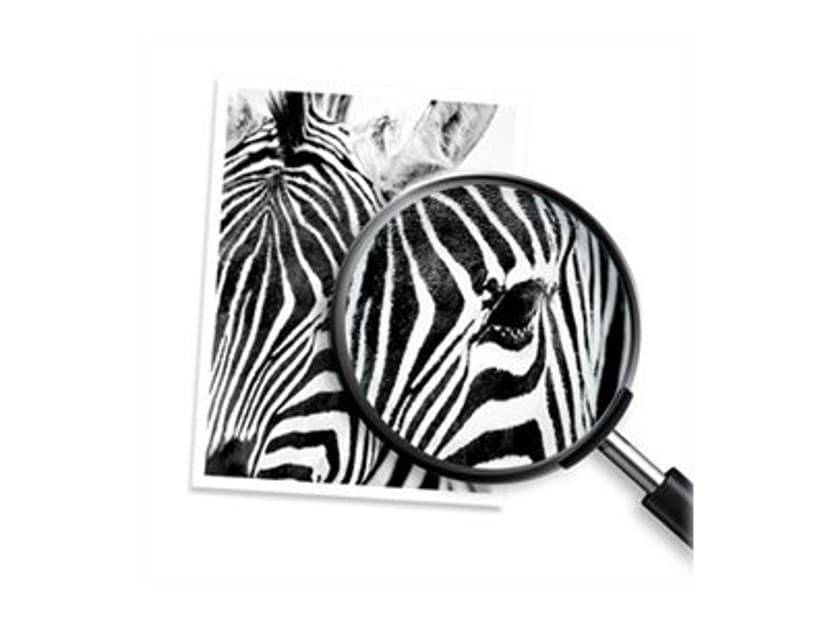 HP Bläck Combo Pack (Black/Color) 303 - Envy Foto 62XX/71XX