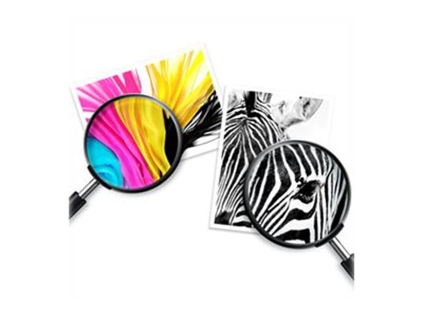 HP Bläck Combo Pack (Black/Color) 303 - Envy Foto 62XX/71XX