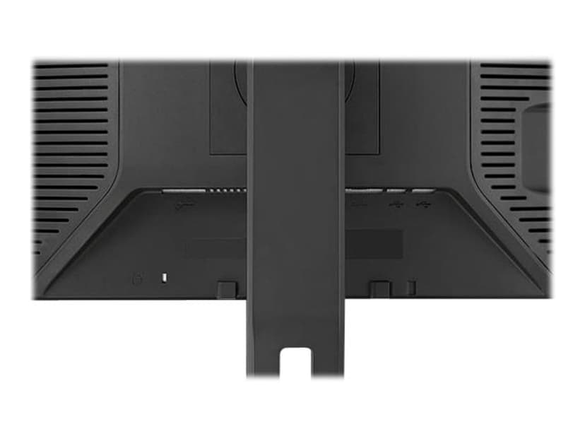Dell P190S