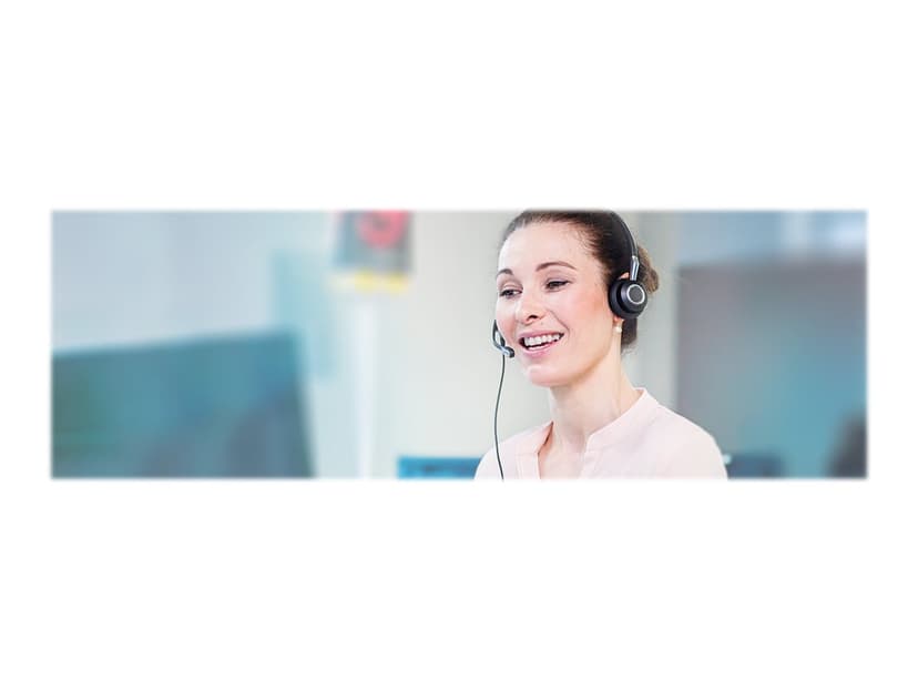 Jabra Biz 2400 II QD Mono NC 3 In 1 Silver, Svart
