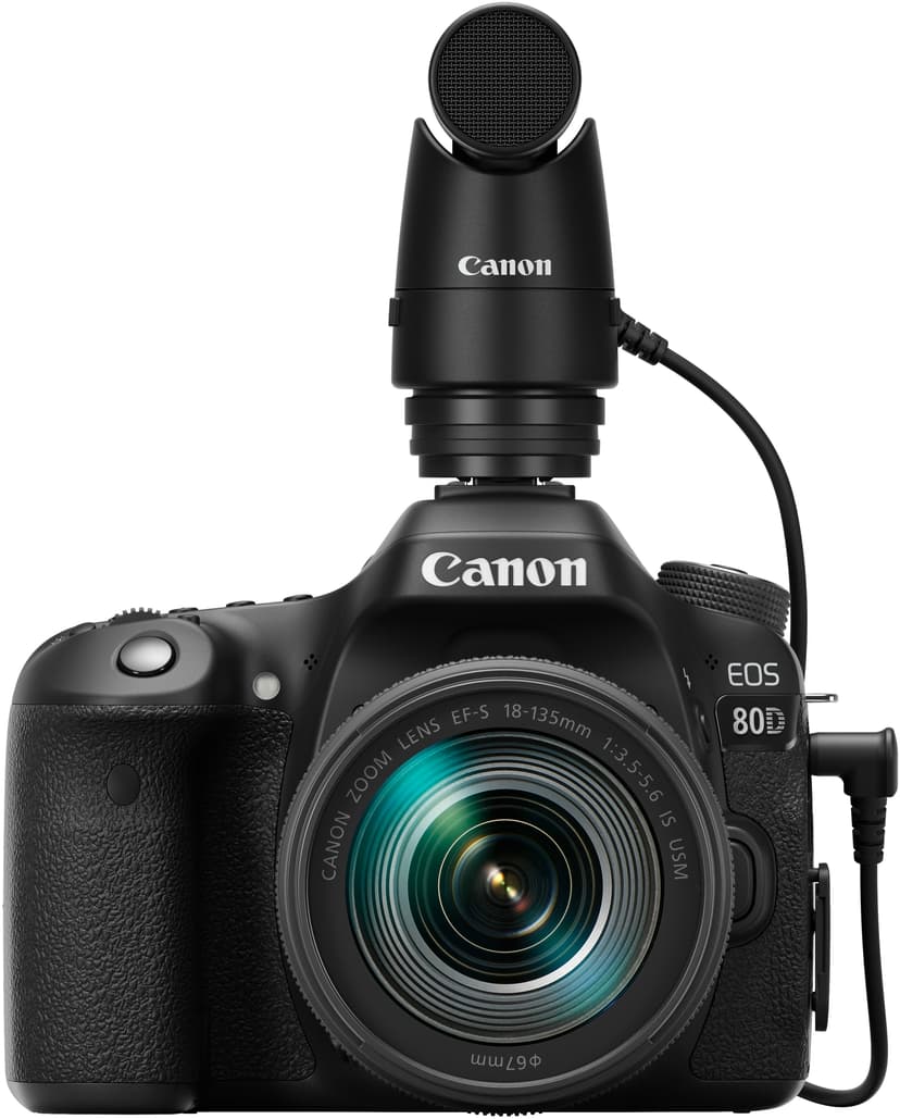Canon DM-E1