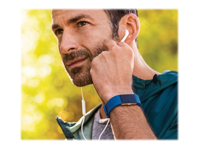 Fitbit Charge 2 Blue Large