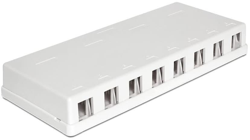 Delock 8 Port Keystone Box
