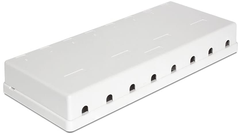 Delock 8 Port Keystone Box