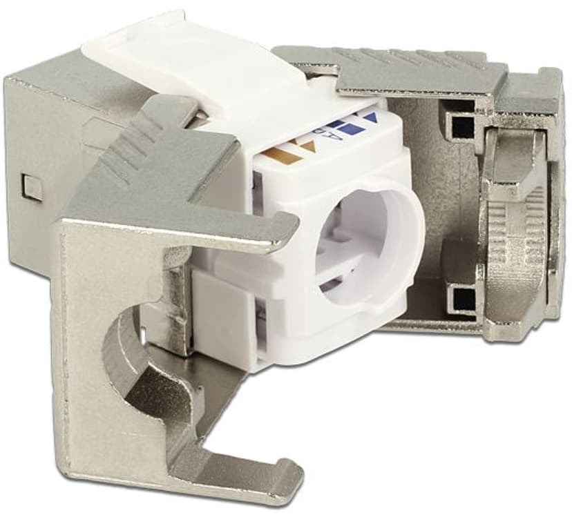 Delock Keystone RJ45 LSA CAT6A FTP Tool-Free