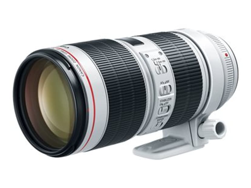 Canon EF 70-200 mm F/2.8 L IS III USM