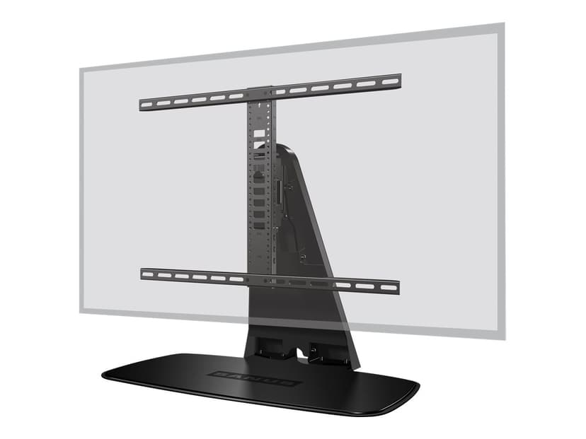 Sanus WSTV1