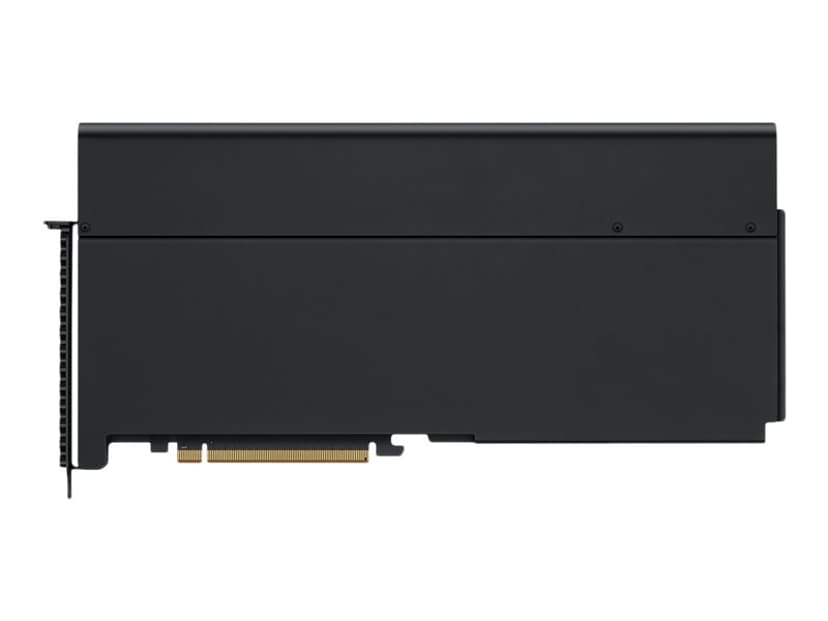 Apple Afterburner Card