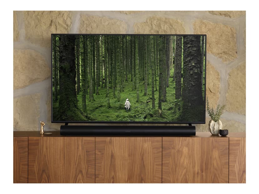 SONOS ARC Sort