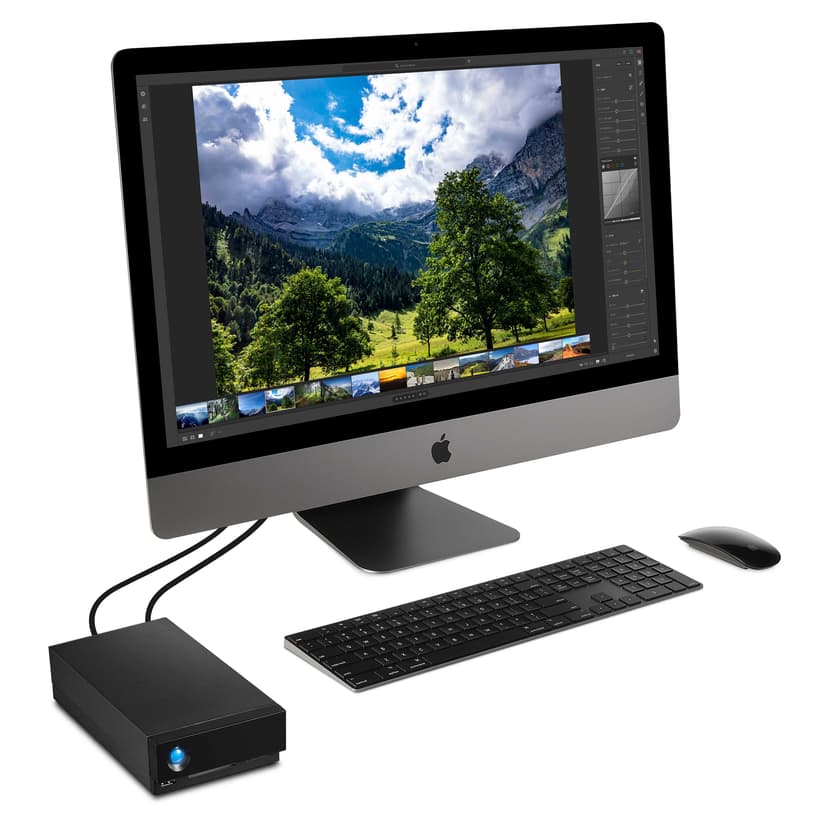 LaCie 1BIG DOCK 8TB Svart
