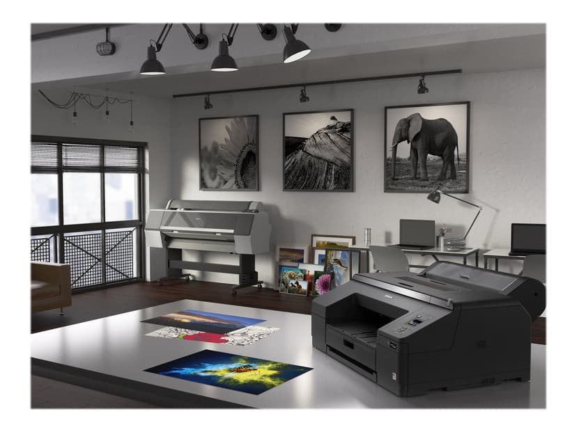 Epson SureColor SC-P5000 Violet 432 mm A2 (17")