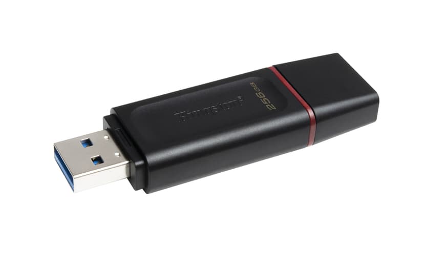 Kingston Datatraveler Exodia 256GB USB-A Svart, Rosa