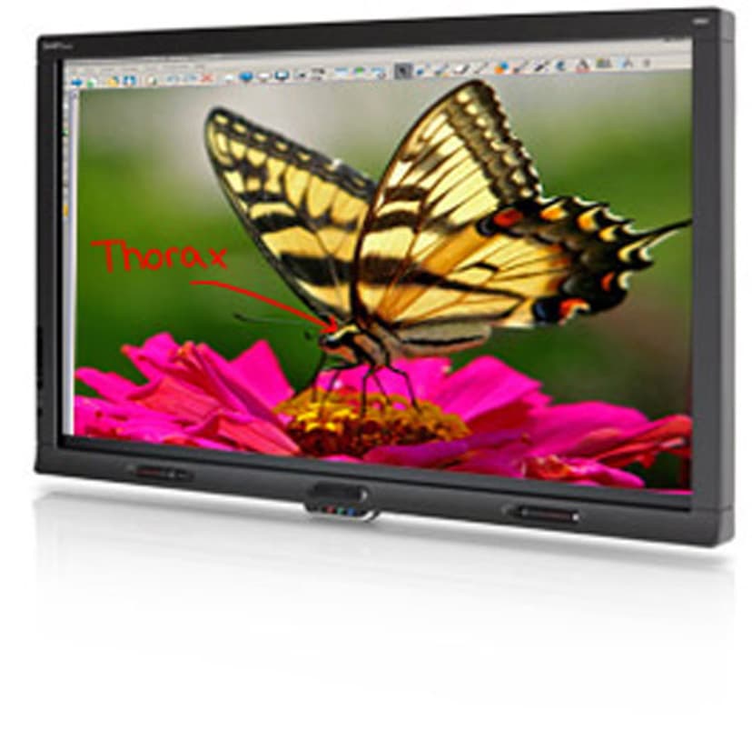 SMART Board 8070I Interactive Display 70" LCD - Skola