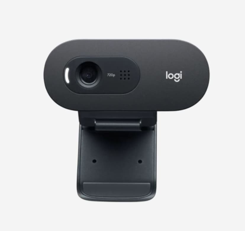 Logitech C505e