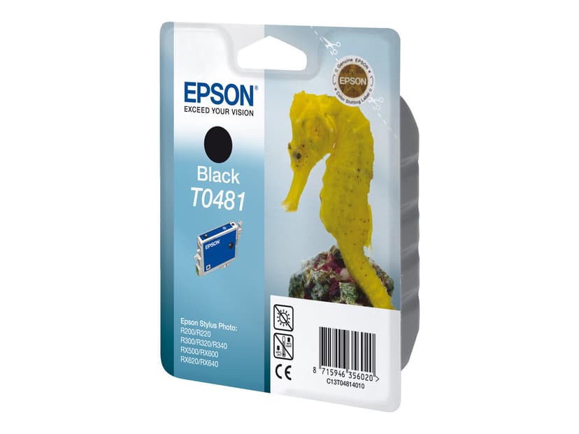 Epson Bläck Svart T048 - R300