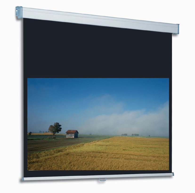 AV Produkter Procinema Projektorduk 203X139 16:9