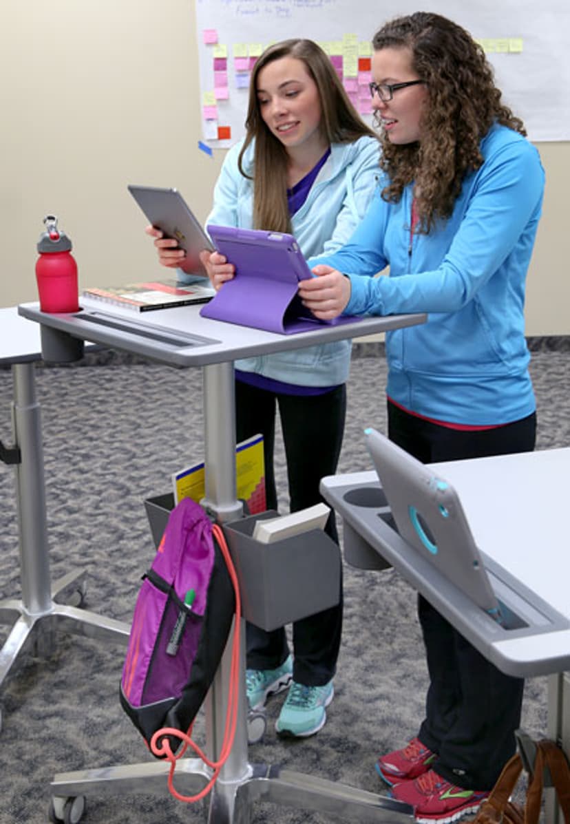 Ergotron LearnFit Adjustable