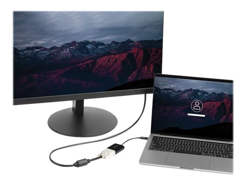 Startech USB-C till DVI-adapter extern videoadapter