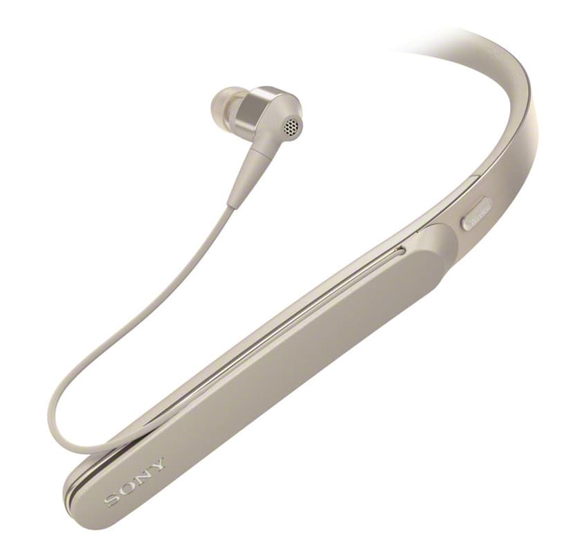 Sony WI-1000X NC