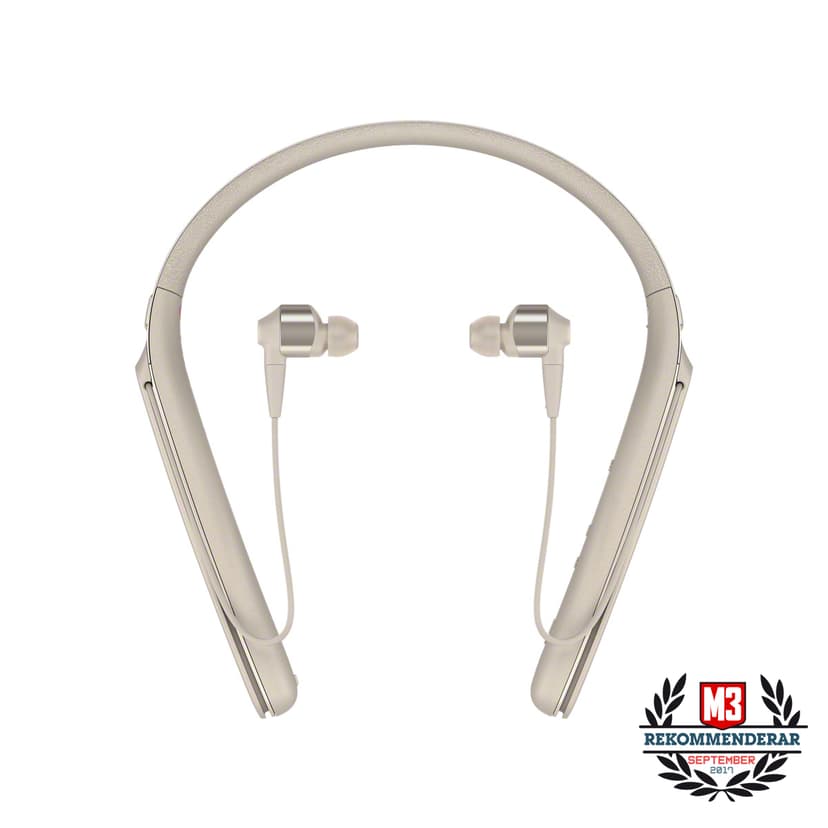Sony WI-1000X NC