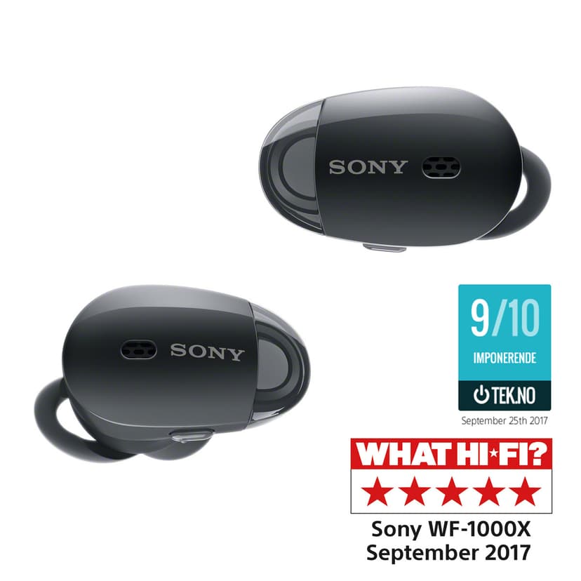 Sony WF-1000XB NC