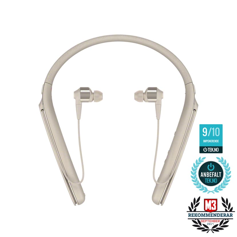 Sony WI-1000X NC