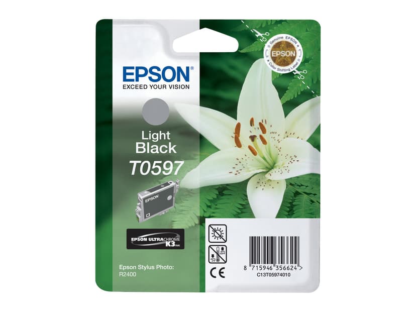 Epson Blekk Ljus Svart - STYLUS Foto R2400