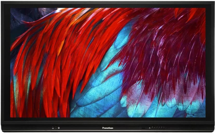 Promethean Activpanel 75" 4K