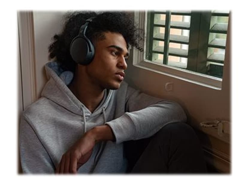 SENNHEISER HD 450BT Wireless USB Type-C CE Sort