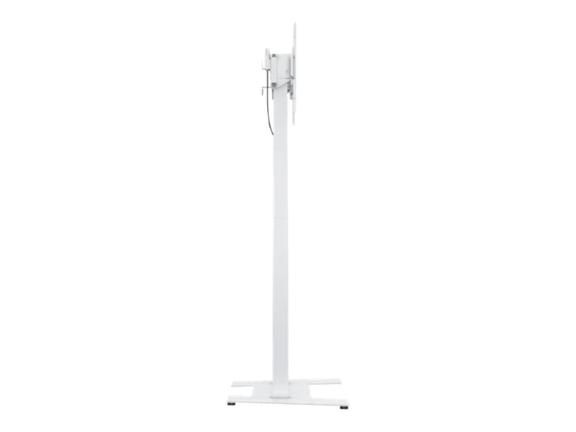 Multibrackets M Motorized Floorbase 60kg Vit