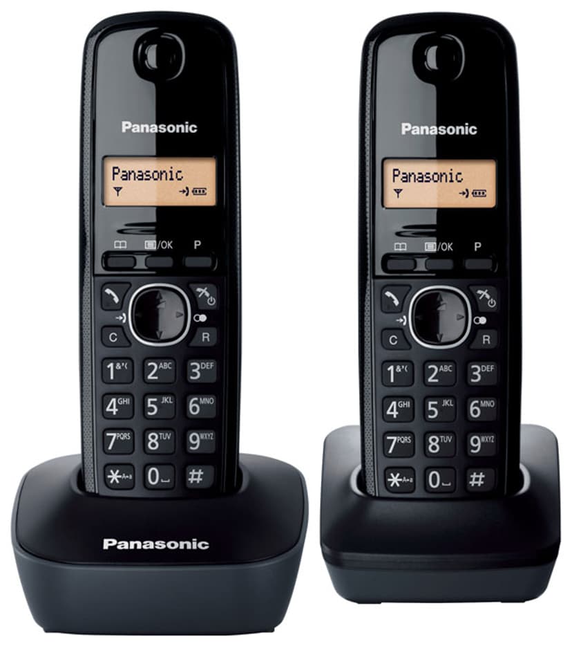 Panasonic KX TG1612