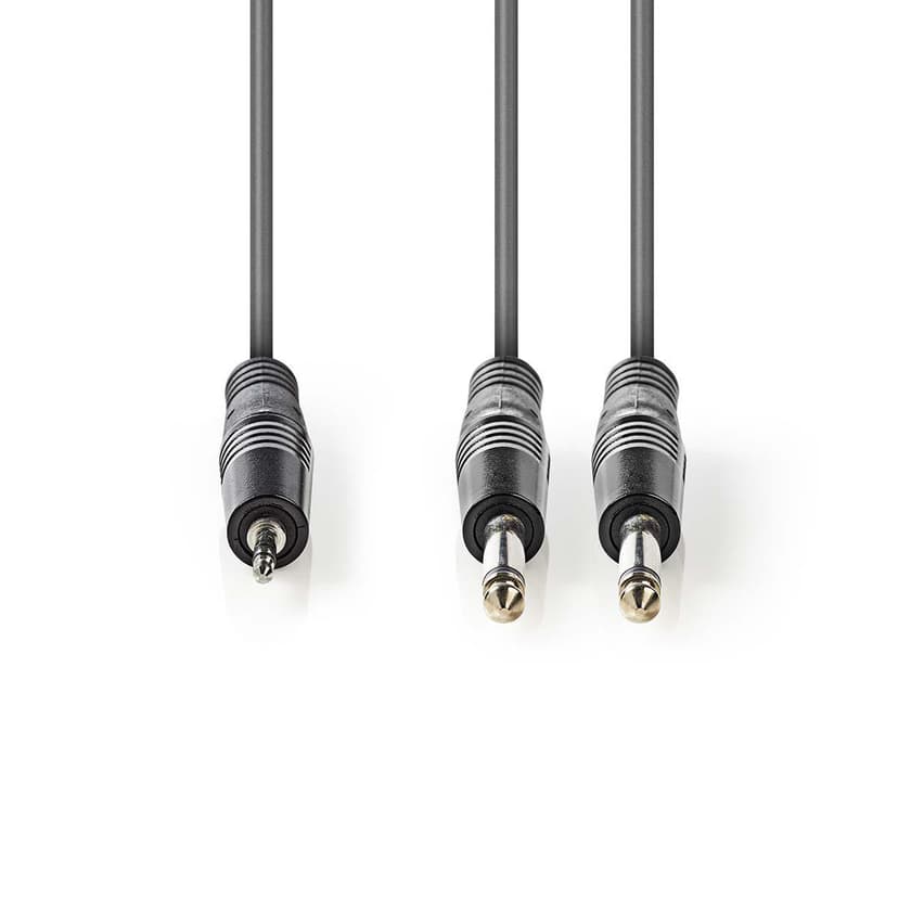 Nedis OnStage series 3m 2 x 6,3mm 3,5mm