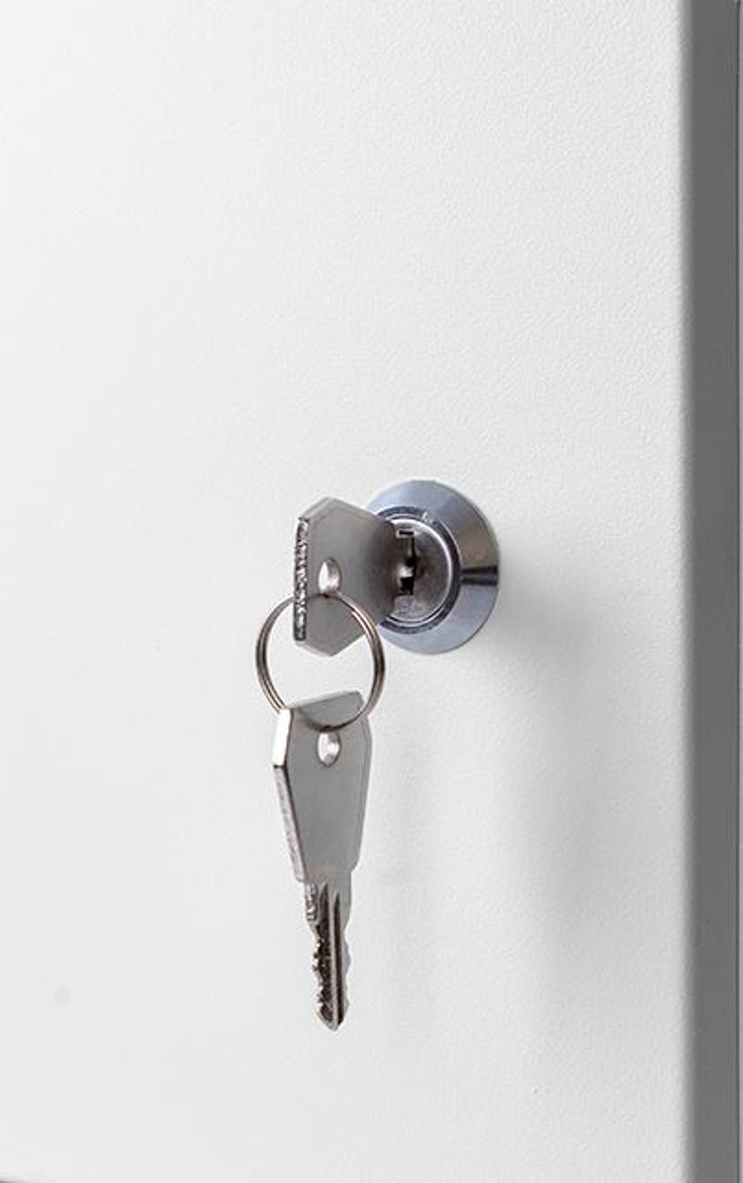 Direktronik Wall Rack 19" 4U 35cm Metal Door Grey