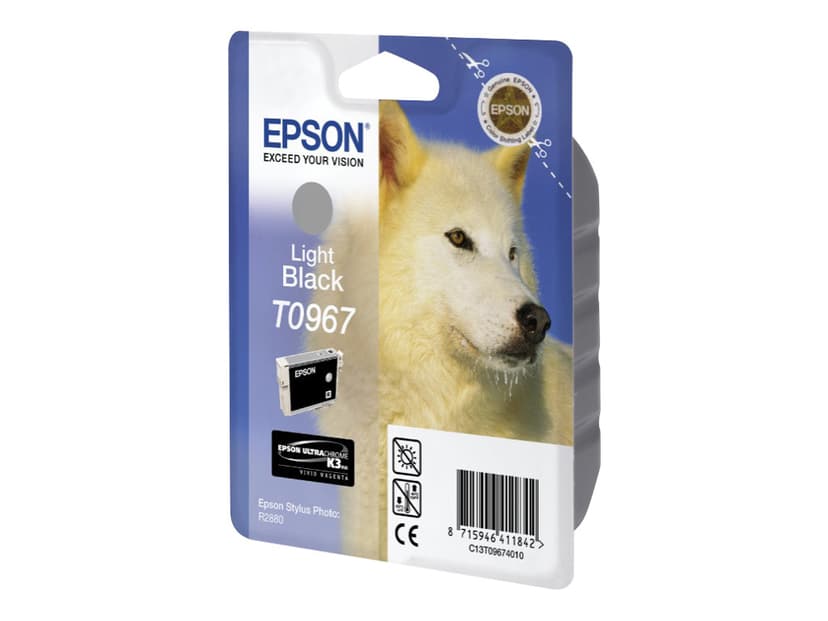 Epson Muste Kevyt Musta - STYLUS Kuva R2880