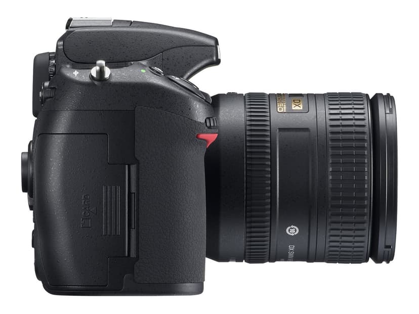 Nikon D300S