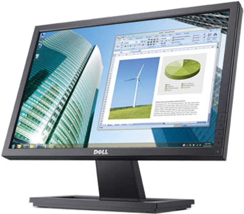 Dell E1911 19" Wide TFT Black