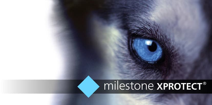 Milestone XProtect Pro+ Basislicens