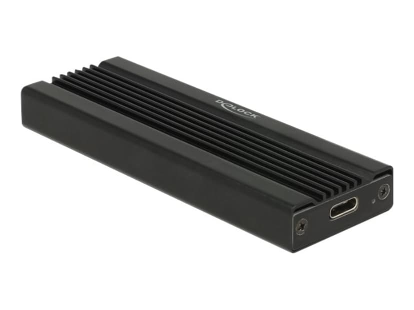 Delock Storage enclosure