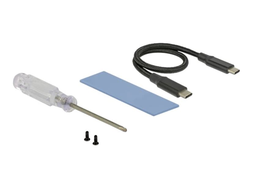 Delock Storage enclosure