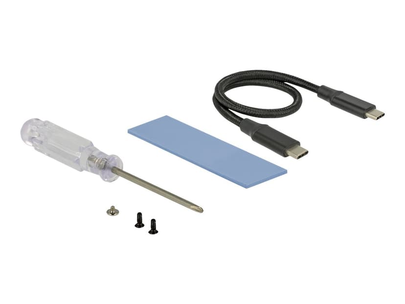 Delock NVME-Kabinett