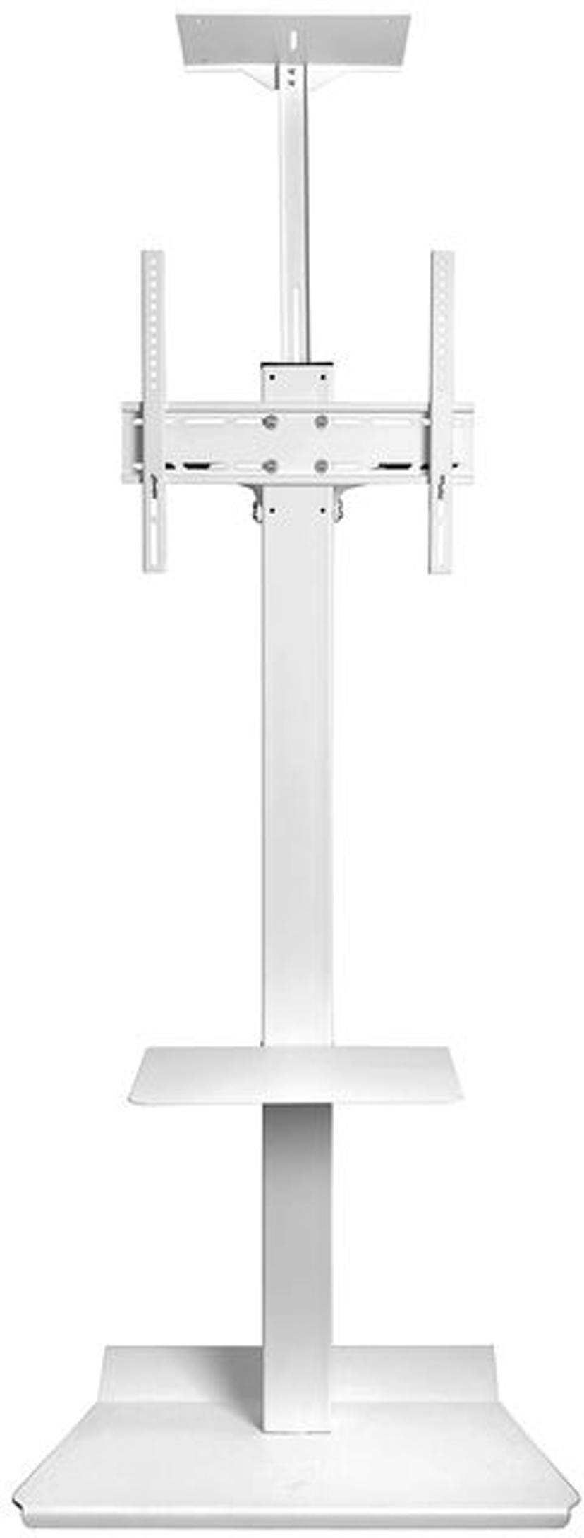 Multibrackets M