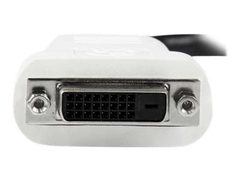 Startech DisplayPort to DVI Video Converter 0.24m DisplayPort DVI-D Svart